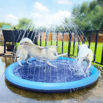 Splash Pad For Pets
