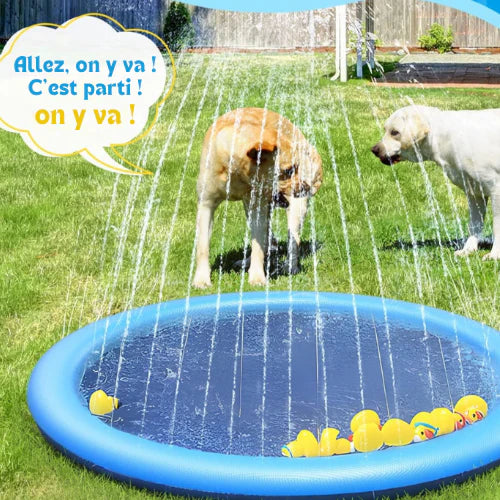 Splash Pad For Pets