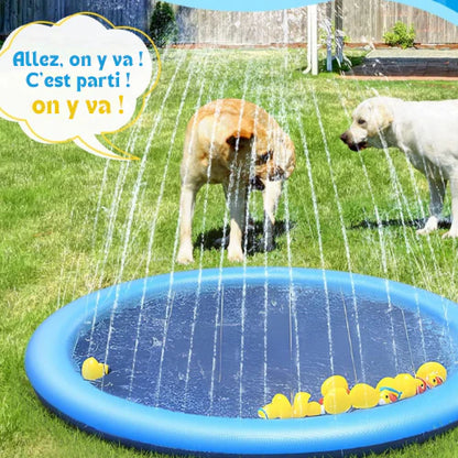 Splash Pad For Pets